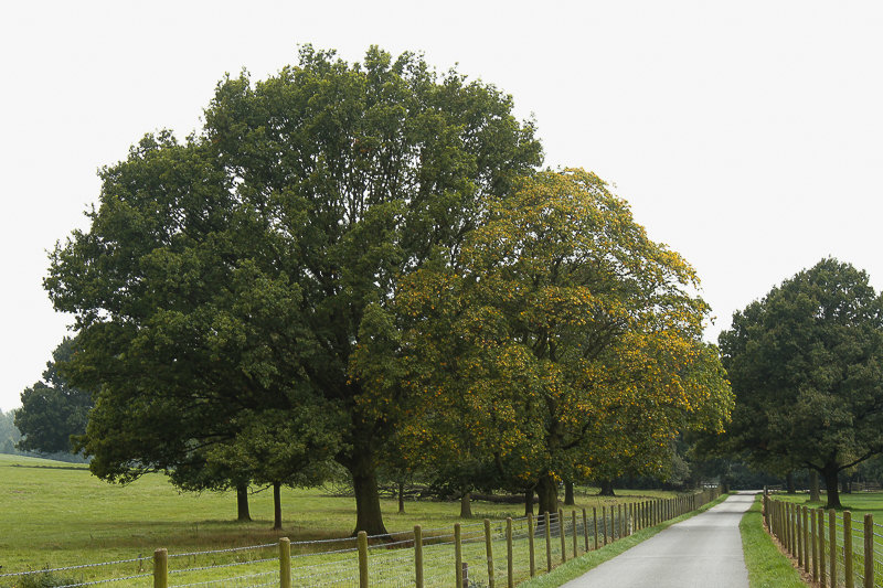 Locko Park